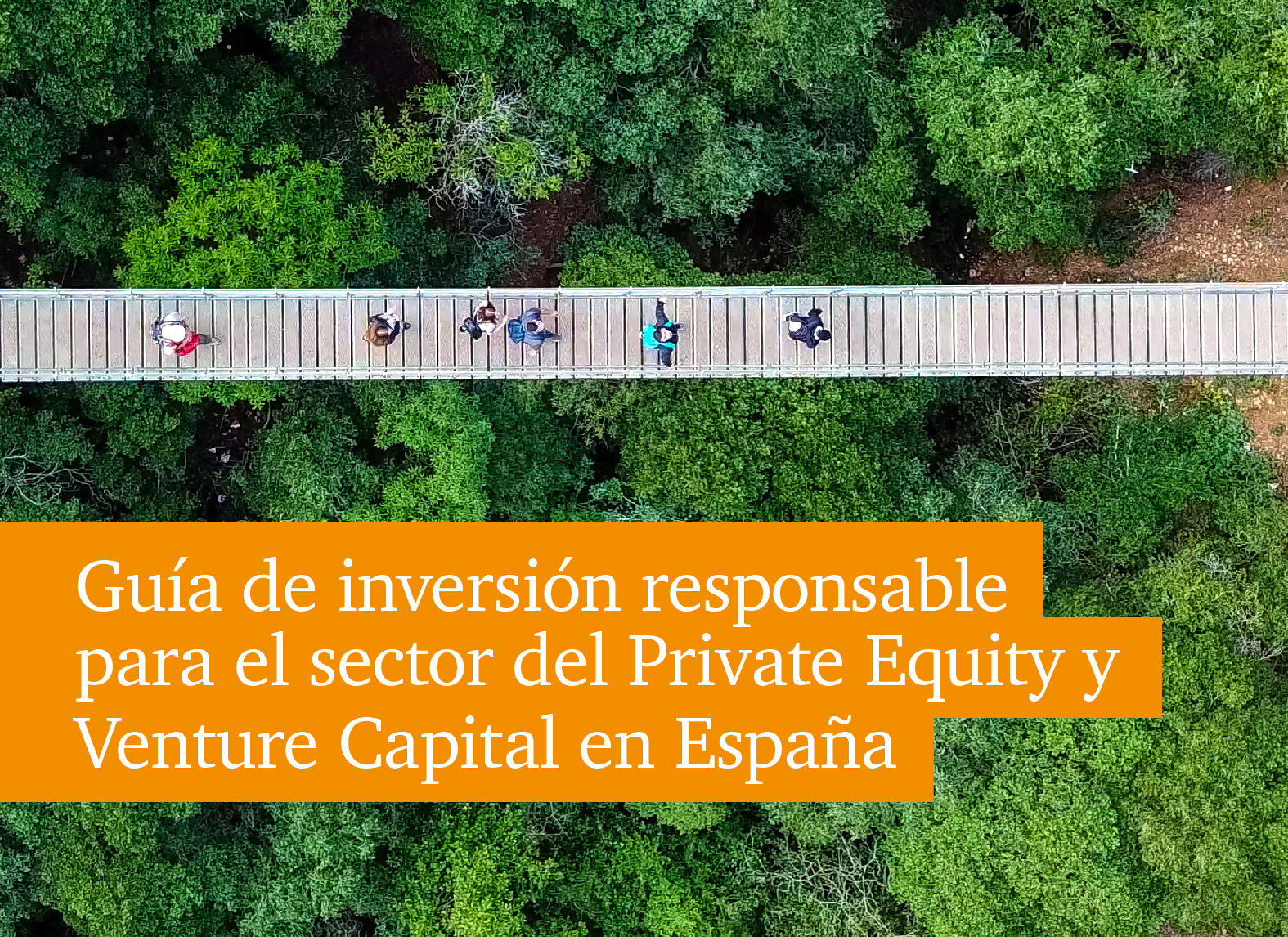 Guía de Inversión Responsable para el Sector de Venture Capital & Private Equity