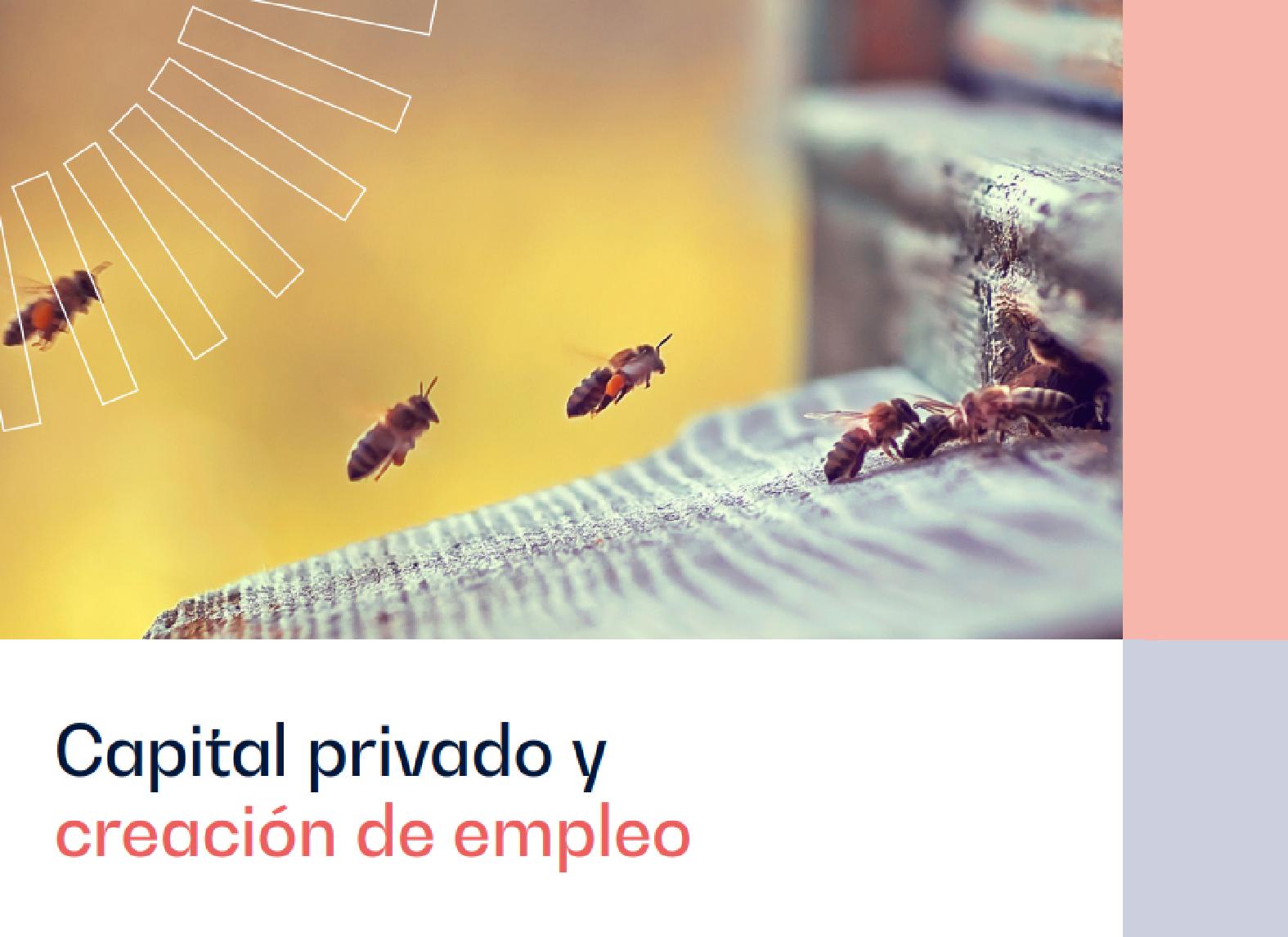 Capital Privado y Creación de Empleo